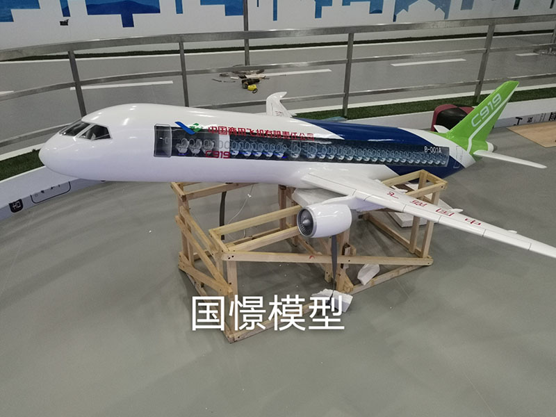 漳平市飞机模型
