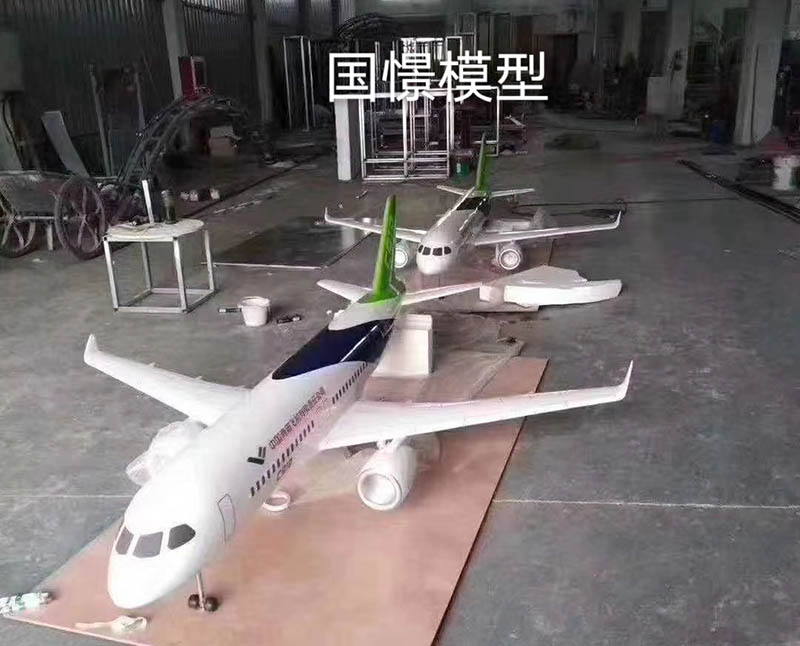 漳平市飞机模型